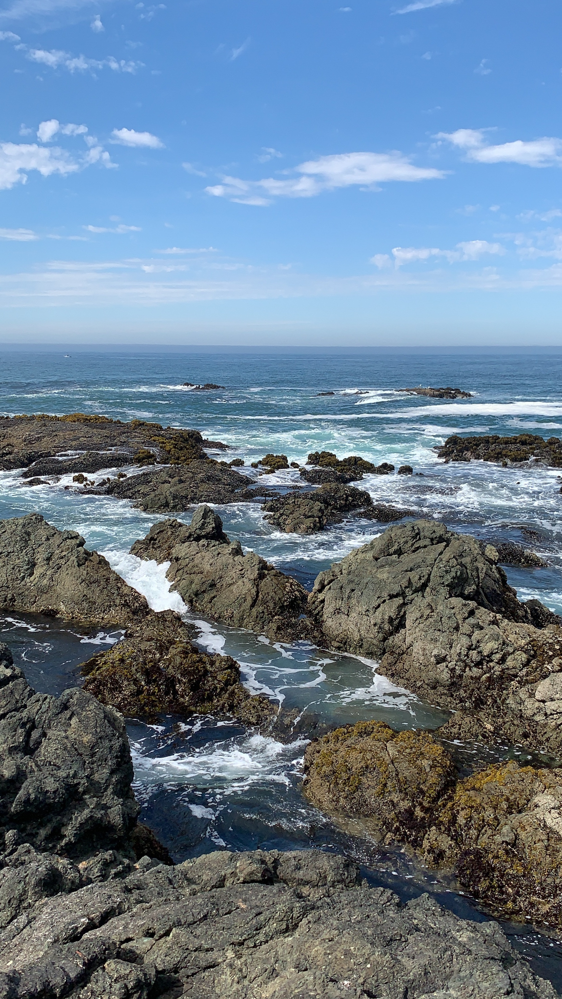 California coast ocean view of waves crashing in on coastline rocks.