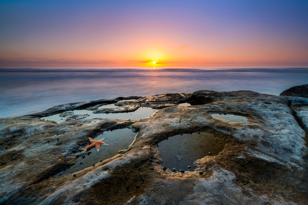 Tidepools with a starfish overlooking a blue sea with an orange, pink and blue sunset in the background.